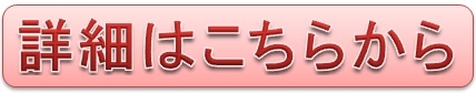 組み合わせ自由!一度にいろいろなラーメンをお買い物可能!